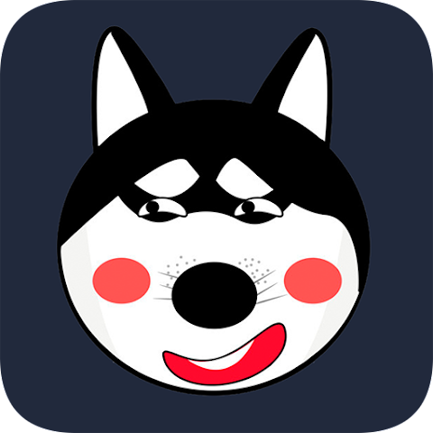 小哈vp n下载官网
